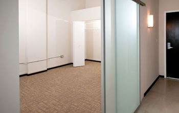 Translucent sliding barn door